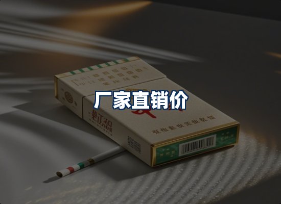 专业团队办公环境